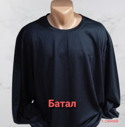Свитшоты мужские БАТАЛ оптом 62810397 0003-83
