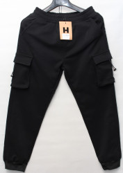 Спортивные штаны мужские на флисе (black) оптом 25861743 N91001-1