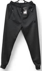 Спортивные штаны мужские BLACK CYCLONE (серый) оптом 08239715 WK7308-5