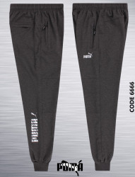 Спортивные штаны мужские (темно-серый) оптом 15927346 TR6666-16