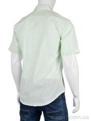 Рубашка, Obuvok оптом L1201-44 (12527) green