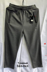 Спортивные штаны мужские БАТАЛ оптом 26451987 2637-54