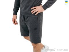 Шорты, Sport style оптом 05NI т.сірий