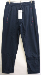 Спортивные штаны мужские на флисе (темно синий) оптом 56708913 8850-30