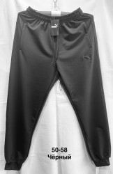 Спортивні штани чоловічі ПОЛУБАТАЛ оптом