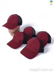 Кепка, STARK оптом Кепка з сіткою та накатом 001-5 mix