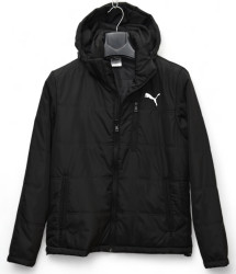 Куртки демисезонные мужские DABERT (черный) оптом 43629780 03-17