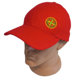 Кепки мужские оптом 95136784 876-22