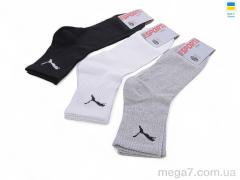 Носки, Textile оптом Textile  T16 mix