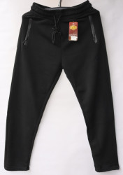 Спортивные штаны мужские на флисе (black) оптом 18264597 CS401-6