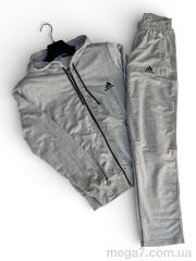Спортивный костюм, Sport style оптом 01Ad св.сірий