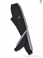 Спортивные брюки, Sport style оптом 001-1 AD т.сірий