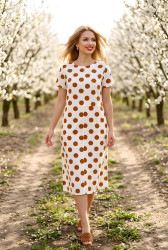 Сукні жіночі БАТАЛ оптом