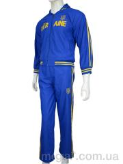 Спортивный костюм, Мир оптом 3215-2 blue