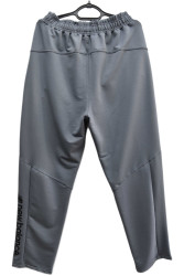 Спортивные штаны мужские оптом 79684103 701-81