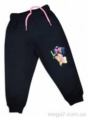 Спортивные брюки, Kids-modnik оптом 1002 чорний