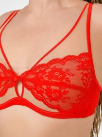 Комплект Acousma A6508BC/P6508H (  красно-бежевый, C  6 шт. )