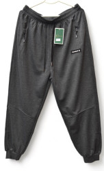 Спортивные штаны мужские CLOVER БАТАЛ (серый) оптом Китай 61298035 2419-2