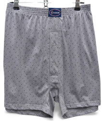 Трусы мужские БАТАЛ оптом 46519738 011-59