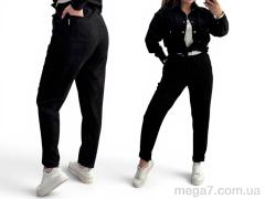 Спортивный костюм, Alisa Brand оптом 1002 чорний