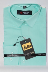 Рубашки детские VERTON оптом 69053124 160A-5