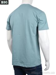 Футболка, BIG оптом 3707-100-3 green