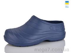 Галоши, Lot Shoes оптом Б06 фіолетовий