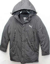 Куртки зимние мужские DABERT (серый) оптом 41972630 D-37-37