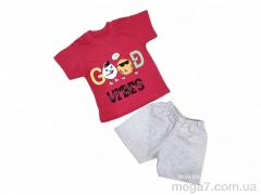 Костюм, Kids-modnik оптом --- 2502 червоний