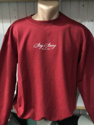 Світшоти чоловічі БАТАЛ оптом