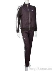 Спортивный костюм, Obuvok оптом OBUVOK Ж433 (04272) brown флис