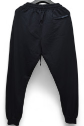 Спортивні штани чоловічі БАТАЛ оптом