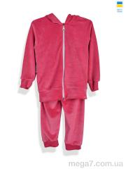 Спортивный костюм, Kir15 оптом 183281 рожевий