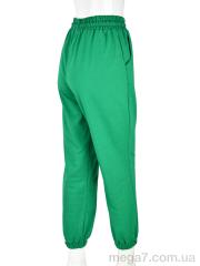 Спортивные брюки, Мир оптом 4009-3 green