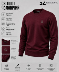 Світшоти чоловічі оптом 