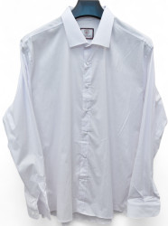Рубашки мужские PLENTI оптом 38624970 06-123