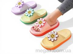 Шлепки, Rai shoes оптом 8819 mix
