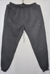 Спортивные штаны мужские на флисе (gray) оптом 79024563 04-27
