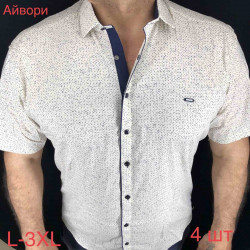 Рубашки мужские ПОЛУБАТАЛ оптом 40236759 05-32