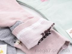 Носки, Thanh оптом Thanh AD004 mix