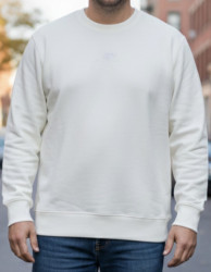 Свитшоты мужские БАТАЛ оптом 36701549 0004-38