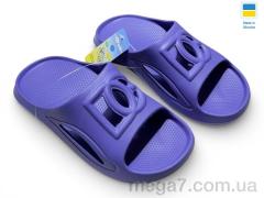 Шлепки, Rai shoes оптом 253 вістерія