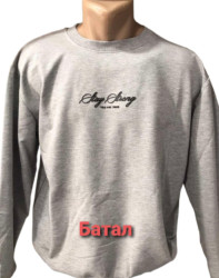 Свитшоты мужские БАТАЛ оптом 13802947 0103-15