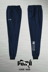 Спортивные штаны мужские LC (синий) оптом 17468032 LC6666-20