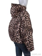 Куртка, Obuvok оптом OBUVOK B05 (12038) brown