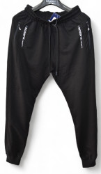 Спортивные штаны мужские POMAXI (черный) оптом 64795082 03-35