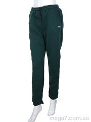 Спортивные брюки, Banko оптом E004-1 green