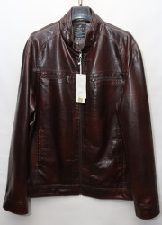 Куртки кожзам мужские FUDIAO БАТАЛ (brown) оптом 81964750 168-1A-115