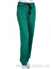 Спортивные штаны, Ledi-Sharm оптом 3025 green