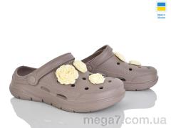 Кроксы, Golden Lion оптом 411 капучино